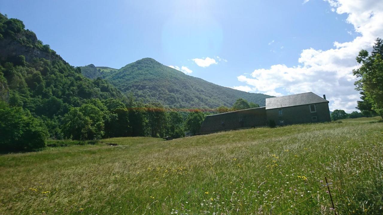 Joli Avec Balcon Donnant Sur La Montagne * Sainte-Marie-de-Campan